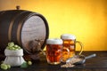 Beer barrel with two beer glasses and bag full of fresh hops Royalty Free Stock Photo