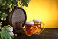 Vintage beer barrel with two beer glasses and frame of fresh hops Royalty Free Stock Photo