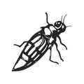 Vintage Beetle Illustration - Black And White Insect Art