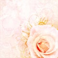 Vintage beige wedding background Royalty Free Stock Photo