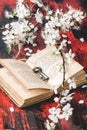Vintage bible with blossom branch Royalty Free Stock Photo