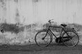 Vintage Bicycle against Old Plastered Wall Background in Black & White Royalty Free Stock Photo