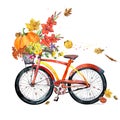 Vintage bicycle with autumn bouquet, fall leaves, pumpkins in the basket. Autumn seasonal Watercolor illustration