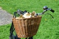 Vintage bicycle basket Royalty Free Stock Photo