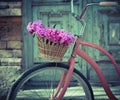 Vintage bicycle with basket with peony flowers