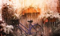 Vintage bicycle with basket in small tropical garden plant dec Royalty Free Stock Photo