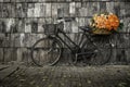 Vintage bicycle decorated with flowers in basket parked in near old  wooden wall Royalty Free Stock Photo