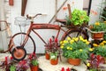 Vintage Bicycle Displayed in Flower Garden Royalty Free Stock Photo