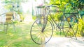 Vintage bicycle with flower in garden Royalty Free Stock Photo