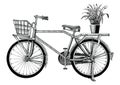 Vintage Bicycle And Flower Pot Hand Drawing Clip Art Isolated On