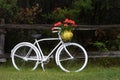 Vintage Bicycle with Flowers Royalty Free Stock Photo