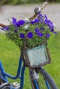 Vintage bicycle with flowers in a basket Royalty Free Stock Photo