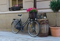 Vintage bicycle with flowers Royalty Free Stock Photo