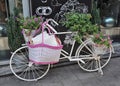 Vintage Bicycle with Flowers