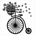 Vintage bicycle with flowers in wicker basket. Vector graphic illustration of old style bike silhouette for print isolated on Royalty Free Stock Photo