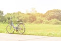 vintage bicycle standing in the side of rice field Royalty Free Stock Photo