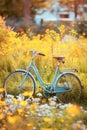 Vintage Bicycle With Wicker Basket Standing in a Blooming Yellow Rapeseed Field on a Sunny Day