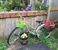Vintage bicycle in yard with flowers and fall leaves Royalty Free Stock Photo