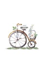 VINTAGE BICYCLES WITH BASKET FULL OF FLOWERS. Hand painting isolated watercolor illustration