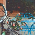 Vintage Bike. Flowers in a Basket. Romantic Photo. Square