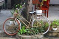 Abandoned bicycle green plants pots still life, Vietnam Royalty Free Stock Photo