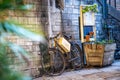 Vintage Bike Selective Focus around Flowers