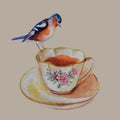 Vintage bird on the cup of tea