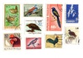 Vintage bird postage stamps from around the world. Royalty Free Stock Photo