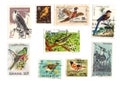 Vintage bird postage stamps from around the world. Royalty Free Stock Photo