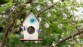 Vintage birdhouse on the background of a blossoming apple tree.