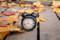 Vintage black alarm clock on autumn leaves. Time change abstract photo. Royalty Free Stock Photo