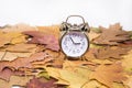 Vintage black alarm clock on autumn leaves. Time change abstract photo. Daylight saving time Royalty Free Stock Photo