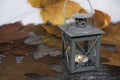 Vintage black alarm clock on autumn leaves. Time change abstract photo. Daylight saving time Royalty Free Stock Photo