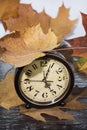 Vintage black alarm clock on autumn leaves. Time change abstract photo. Daylight saving time Royalty Free Stock Photo