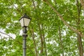 Vintage black iron street lamp