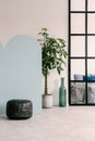 Vintage black pouf in bright living room interior with plant in pot