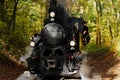vintage black steam engine and kids miniature train riding through green forest. leisure, fun and outdoors concept