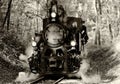 vintage black steam engine and miniature kids train passing through autumn forest. leisure, fun and outdoors concept Royalty Free Stock Photo