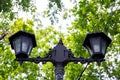 Vintage black Street Lamp in the garden park with green tall tree on the background. Royalty Free Stock Photo