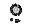 Vintage black vector block print sunflower