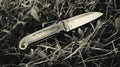 Vintage Black And White Knife On Grassy Background