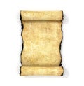 Vintage blank paper scroll Royalty Free Stock Photo