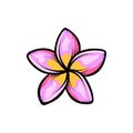 Vintage blooming plumeria flowers concept on white background isolated Floral tropical flower. Wild summer exotic leaf wildflower