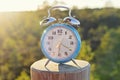 Vintage blue alarm clock on summer forest background
