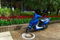SOCHI,RUSSIA, 18 APRIL 2019 - vintage blue motor scooter parked in park against red tulips Royalty Free Stock Photo