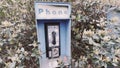 Vintage Blue outdoors public payphone booth in foliage