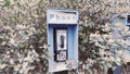 Vintage Blue outdoors public payphone booth nature background