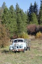 Vintage blue truck in farmyard of Liberty historical townsite Royalty Free Stock Photo