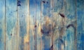 Vintage blue wood texture background with knots and nails Royalty Free Stock Photo