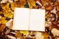 Vintage book on autumn leaves background Royalty Free Stock Photo